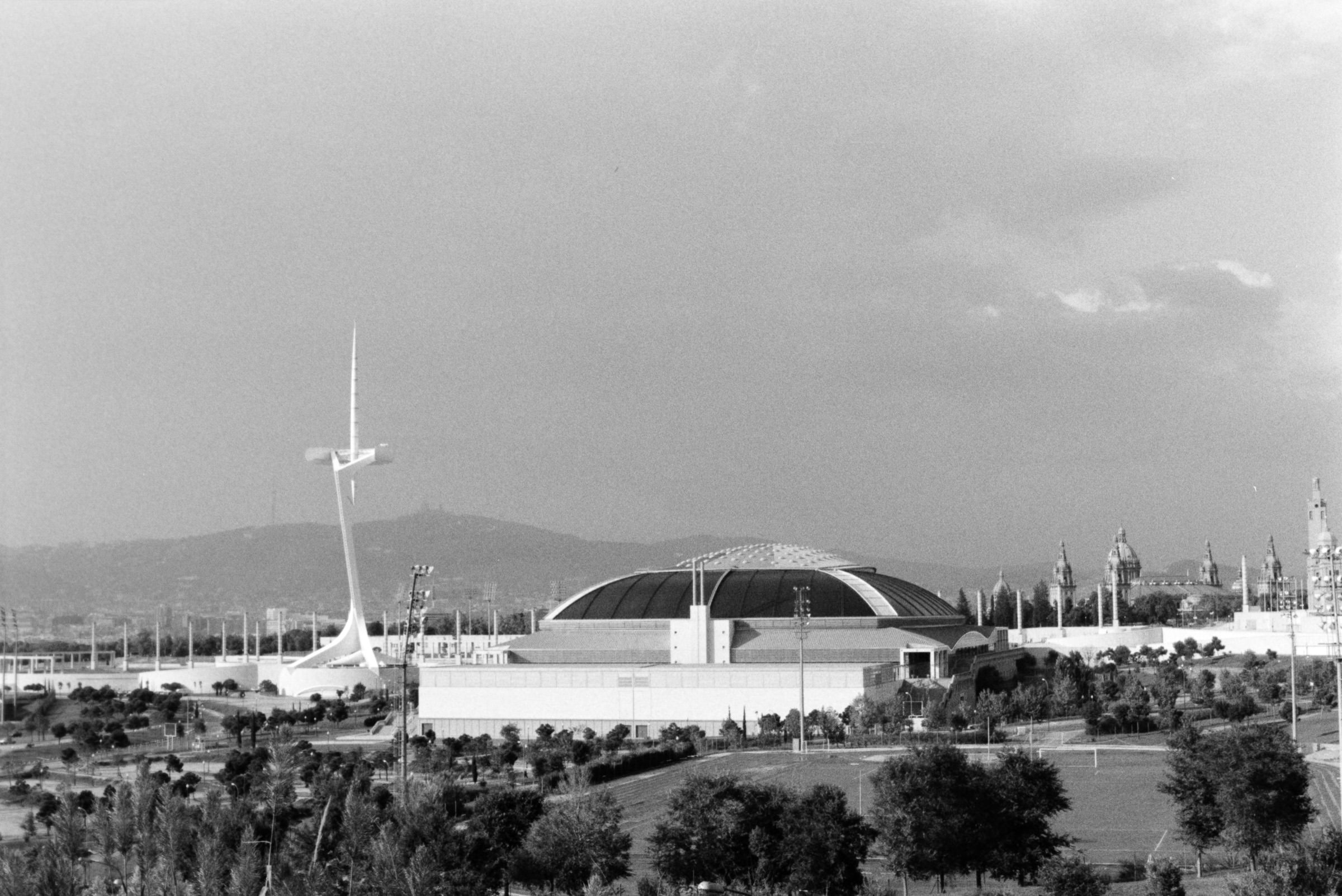 AHP F1995 10 001 sc240815 img29 NLP